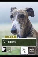 Veloces (2018) poster