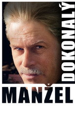 Dokonalý manžel