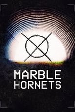 Poster di Marble Hornets