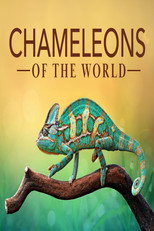 Chameleons of the World poster