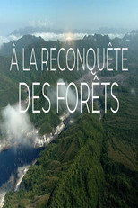 À la reconquête des forêts poster