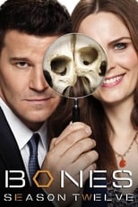 Poster for Bones Season 12