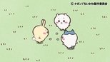 ちいかわ 1x269 (S01E269)