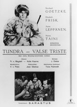 Poster for Erämaan turvissa