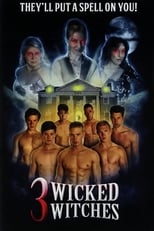 Poster for 3 Wicked Witches 