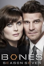 Poster for Bones Season 7