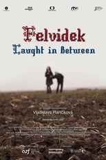 Poster for Felvidek – Caught in Between 