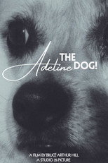 Adeline The Dog! poster