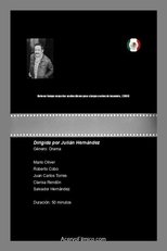 Long Sleepless Nights Long Sleepless Nights