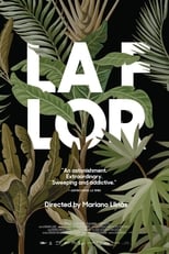 Poster for La Flor