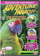 Adventure Parrot!