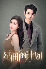 纪画的计划 poster