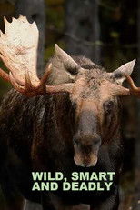 Wild, Smart and Deadly poster