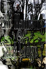 The Haunting of Comet Lodge