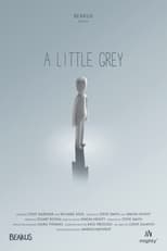 Poster for A Little Grey