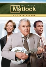 Poster for Matlock Season 6