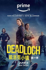 小镇警花