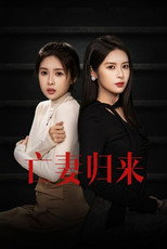 亡妻归来 poster