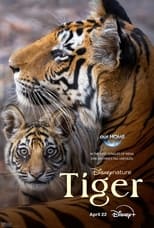 Poster for Tiger