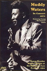 Muddy Waters - In Concert 1971 poster