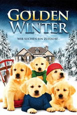 Golden Winter - Wir suchen ein Zuhause