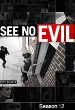 Poster for See No Evil Season 12