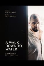 Poster for A Walk Down to Water 