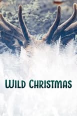 Poster for Wild Christmas