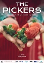 Poster for The Pickers