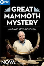 Great Mammoth Mystery