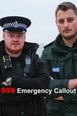Poster for 999: Emergency Call Out