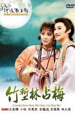 不是電視歌仔戲 poster