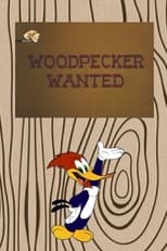 Poster di Woody ricercato