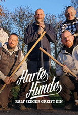 Harte Hunde – Ralf Seeger greift ein poster