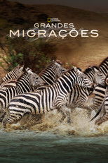 Great Migrations