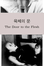 육체의 문