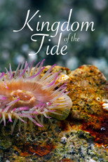 Kingdom of the Tide poster