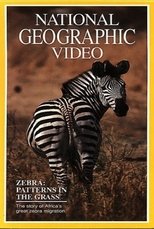 Poster for Zebras: Patterns in the Grass