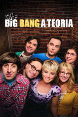 Big Bang: A Teoria: 9ª Temporada