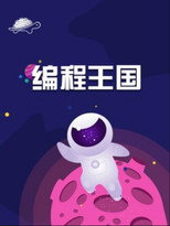 编程王国 poster