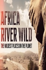 Poster di Africa River Wild