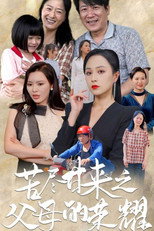 苦尽甘来之父母的荣耀 poster