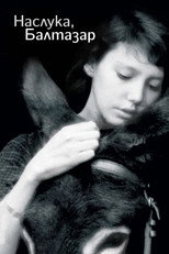 Наслука, Балтазар