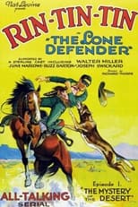 Poster di The Lone Defender