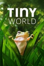 Poster for Tiny World Season 2