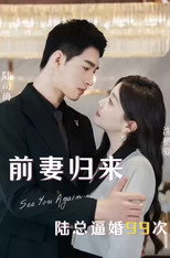 前妻归来陆总逼婚99次 poster