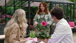 Sturm der Liebe 22x28 (S22E28)