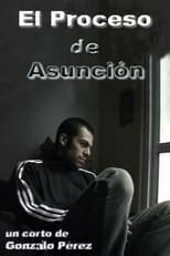 Poster di El Proceso de Asunción