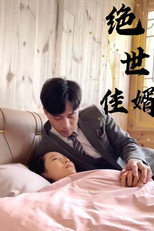 绝世佳婿 poster