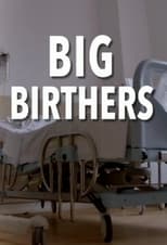 Poster di Big Birthers